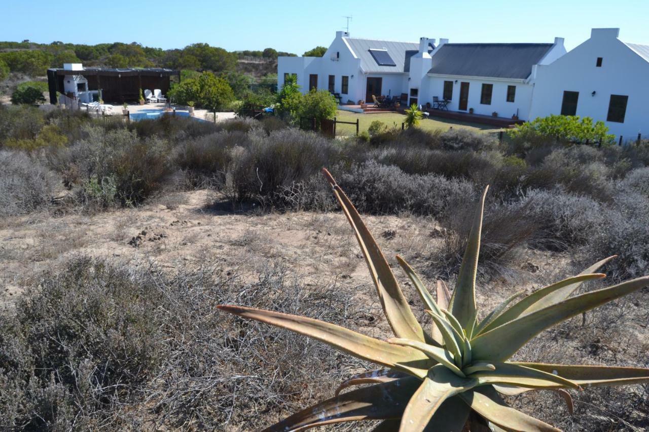 Gasthaus The Quiver Tree Langebaan Exterior foto